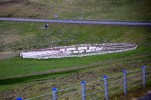 019- J6 (120) enclos pour le tri des brebis